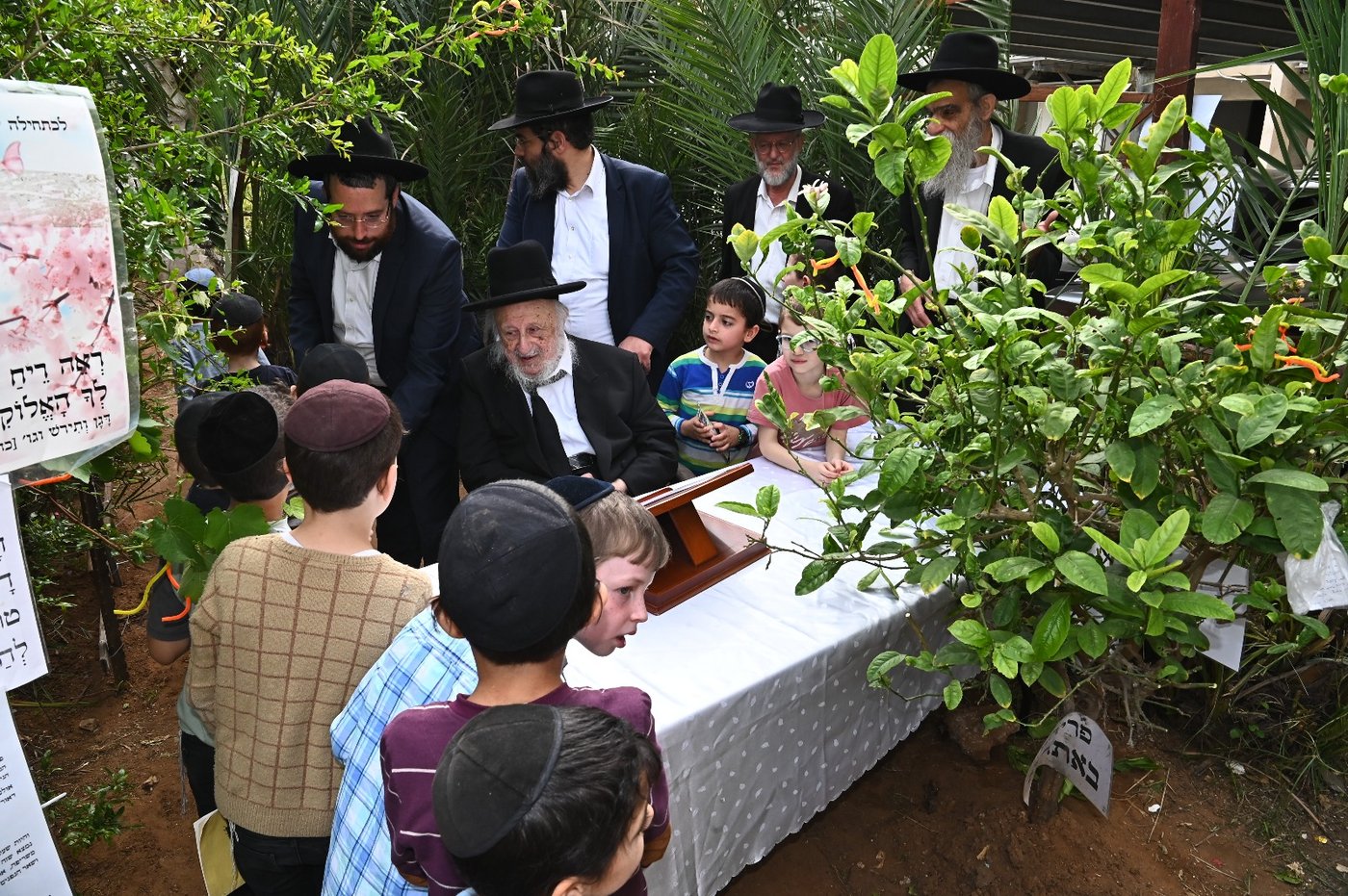 הגרב"ד פוברסקי בברכת האילנות