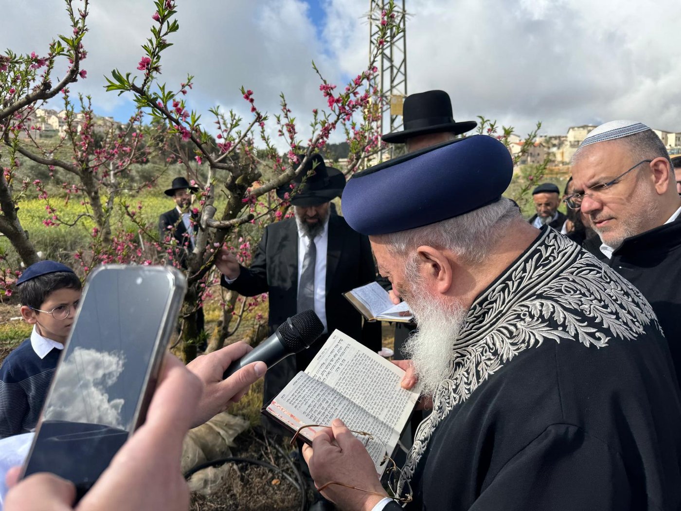 הגרש"מ עמאר בברכת האילנות
