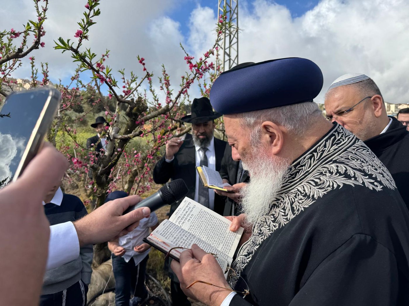 הגרש"מ עמאר בברכת האילנות