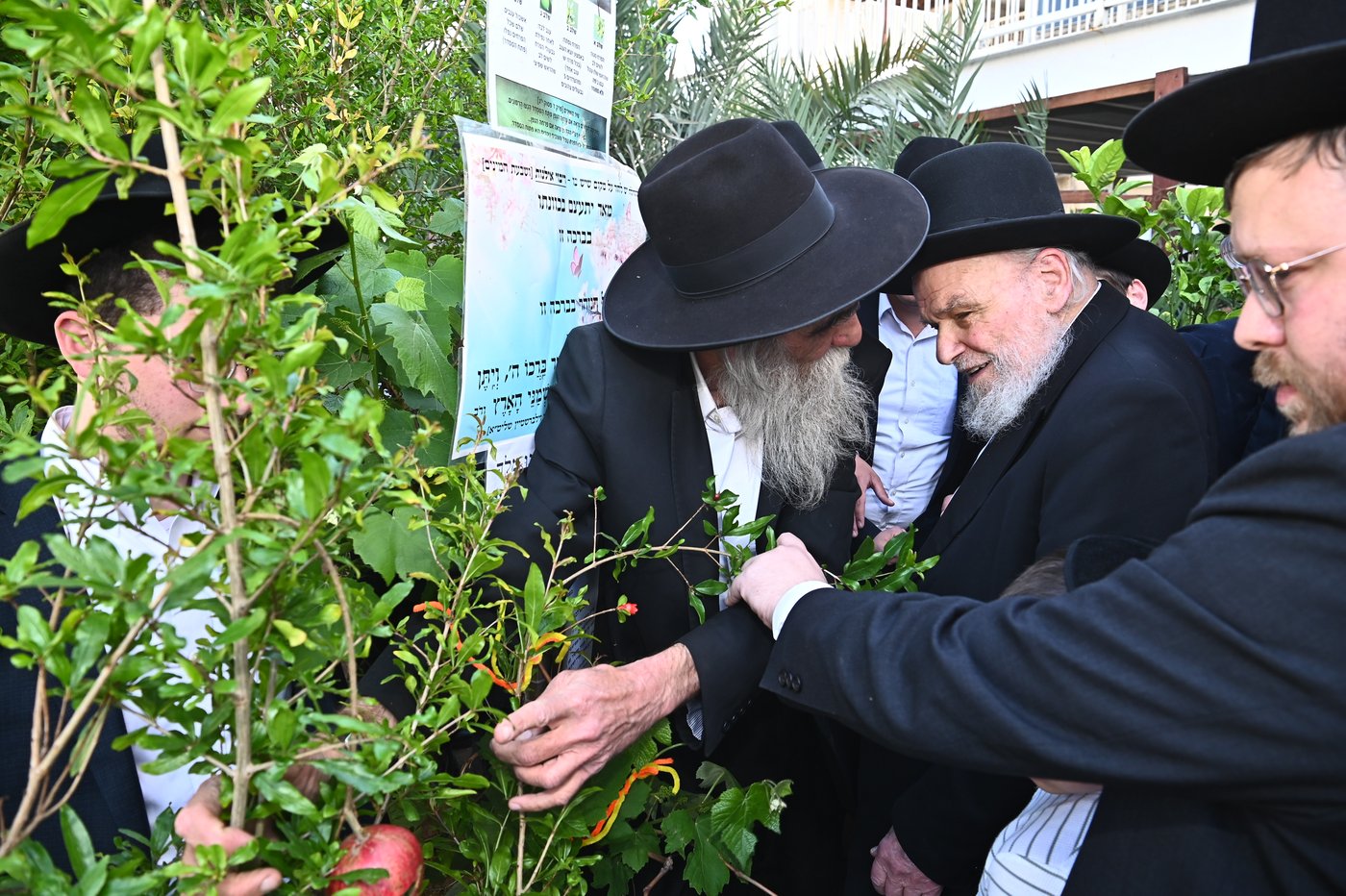 הגרמ"ה הירש בברכת האילנות