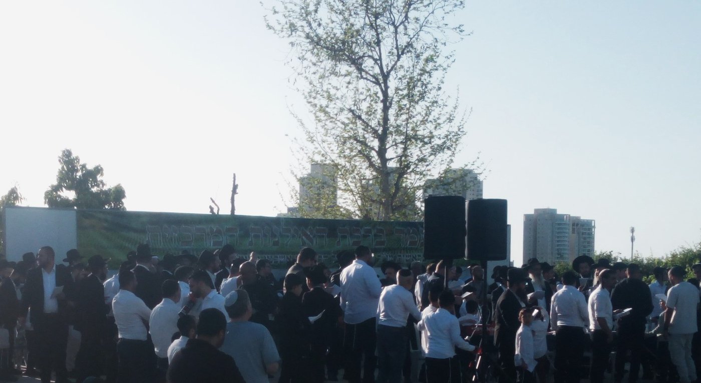 הגאון ר' ציון אשכנזי בברכת האילנות