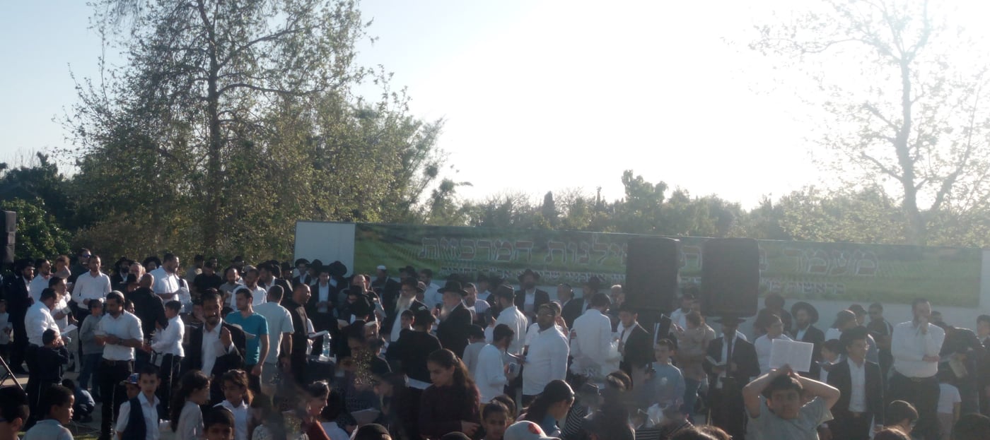 הגאון ר' ציון אשכנזי בברכת האילנות