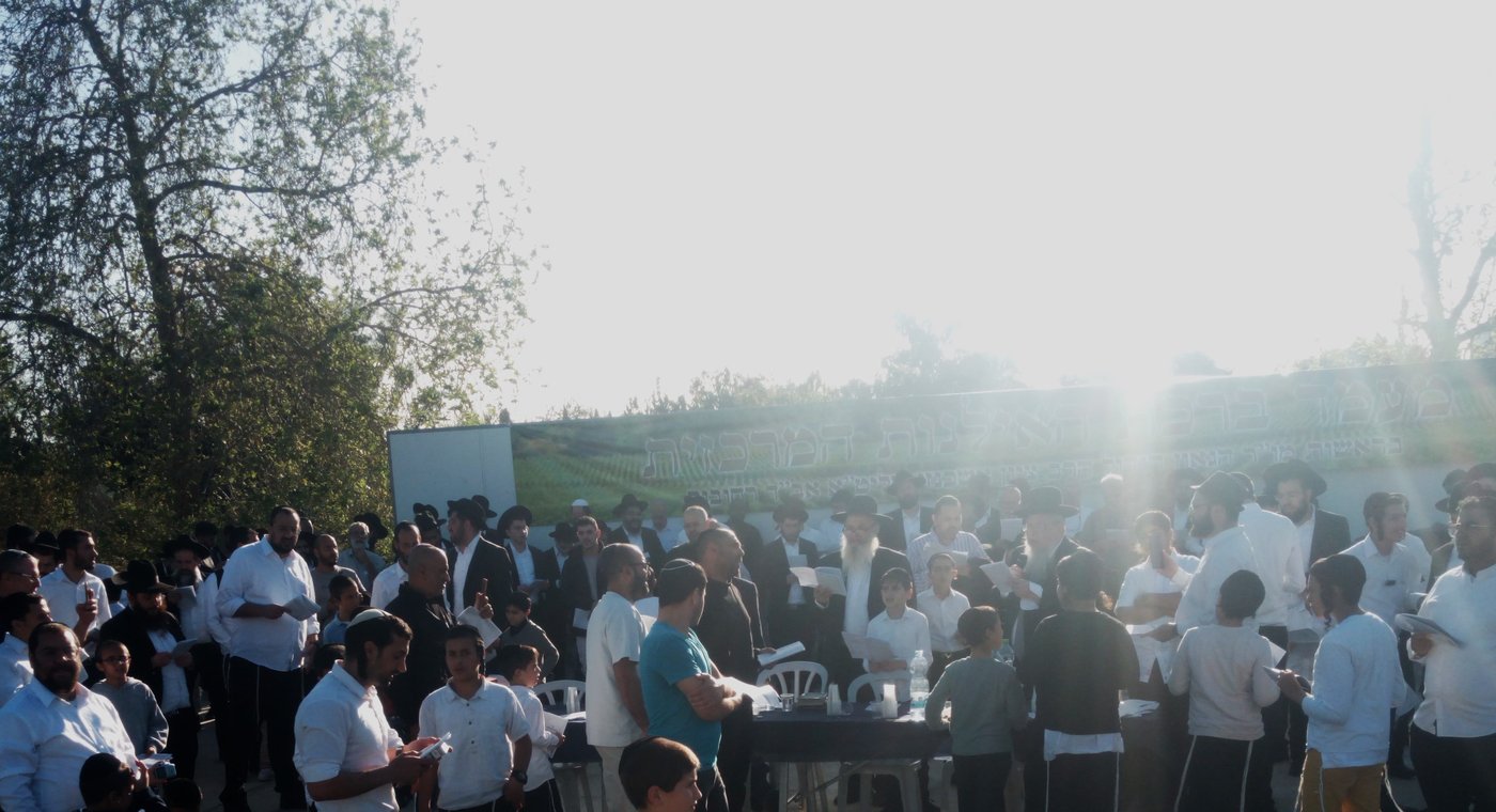 הגאון ר' ציון אשכנזי בברכת האילנות