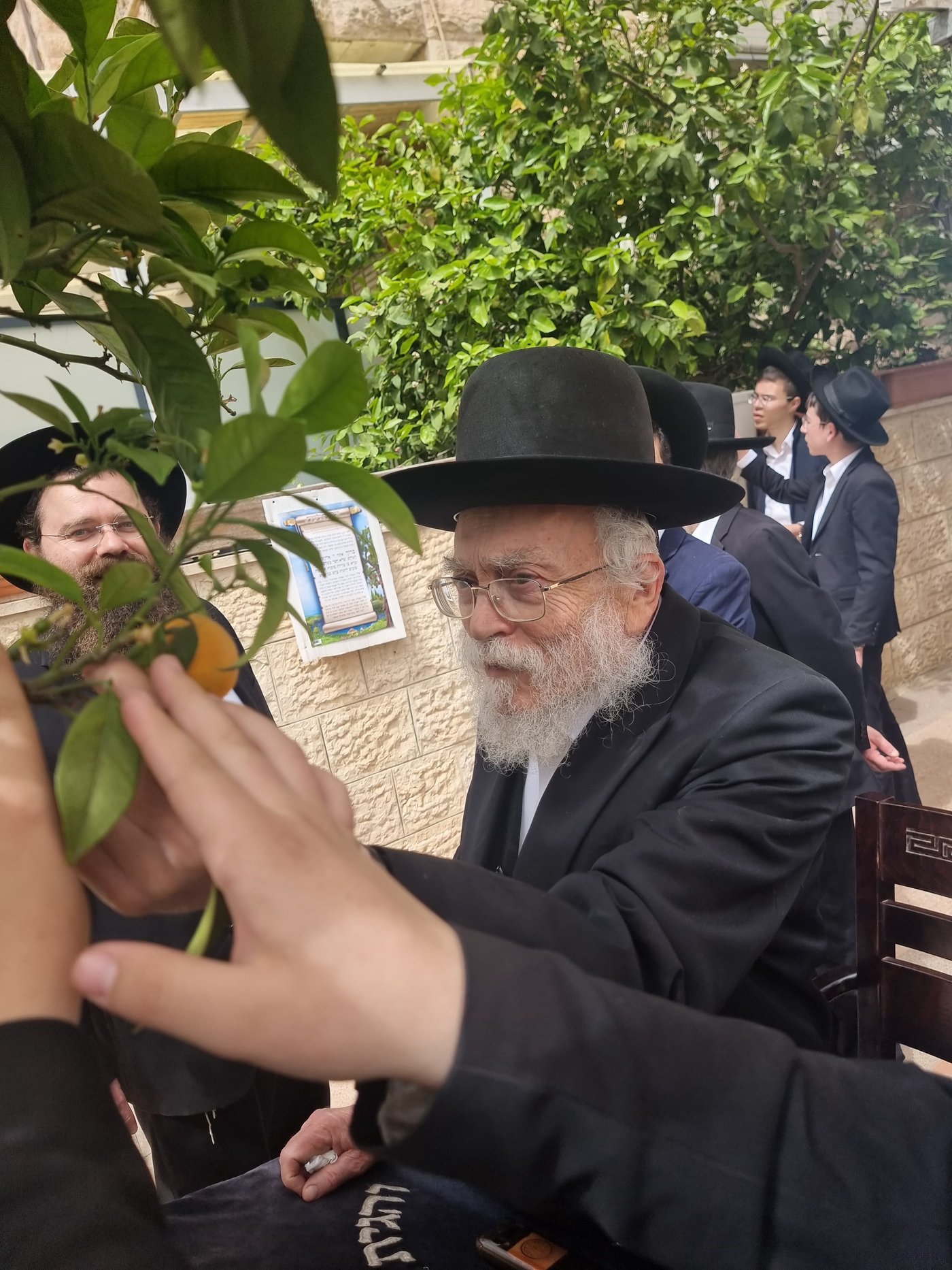 הגרב"ד אלישיב במעמד ברכת האילנות