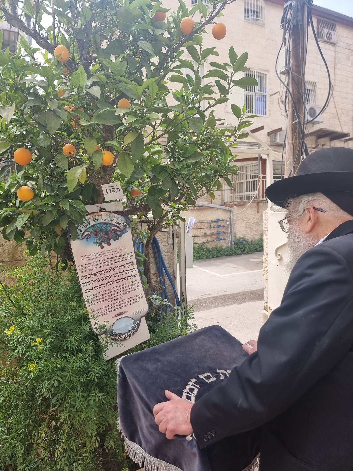 הגרב"ד אלישיב במעמד ברכת האילנות