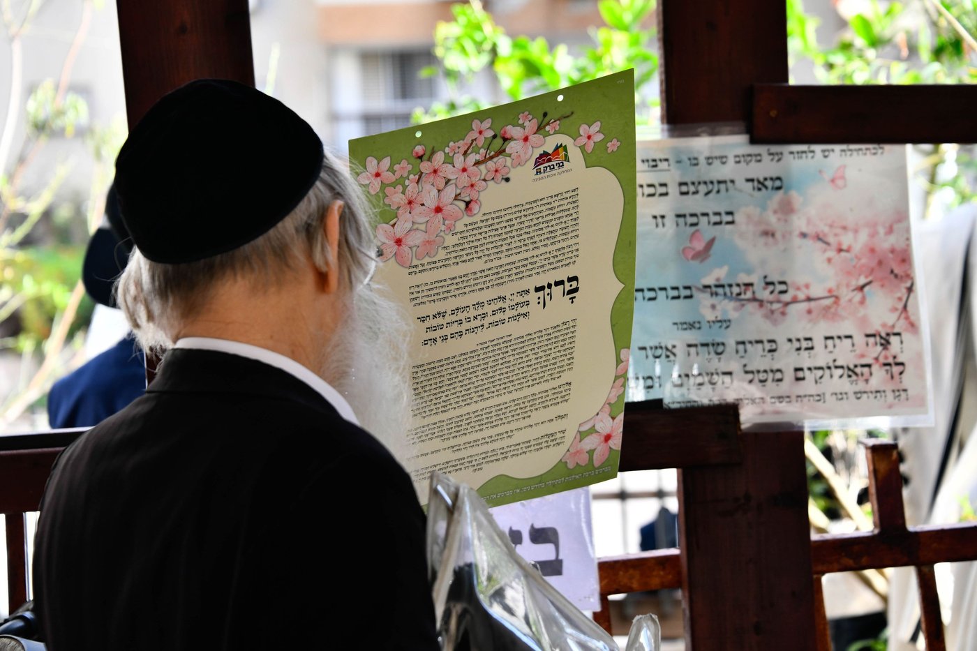 תושבי בני ברק בברכת האילנות