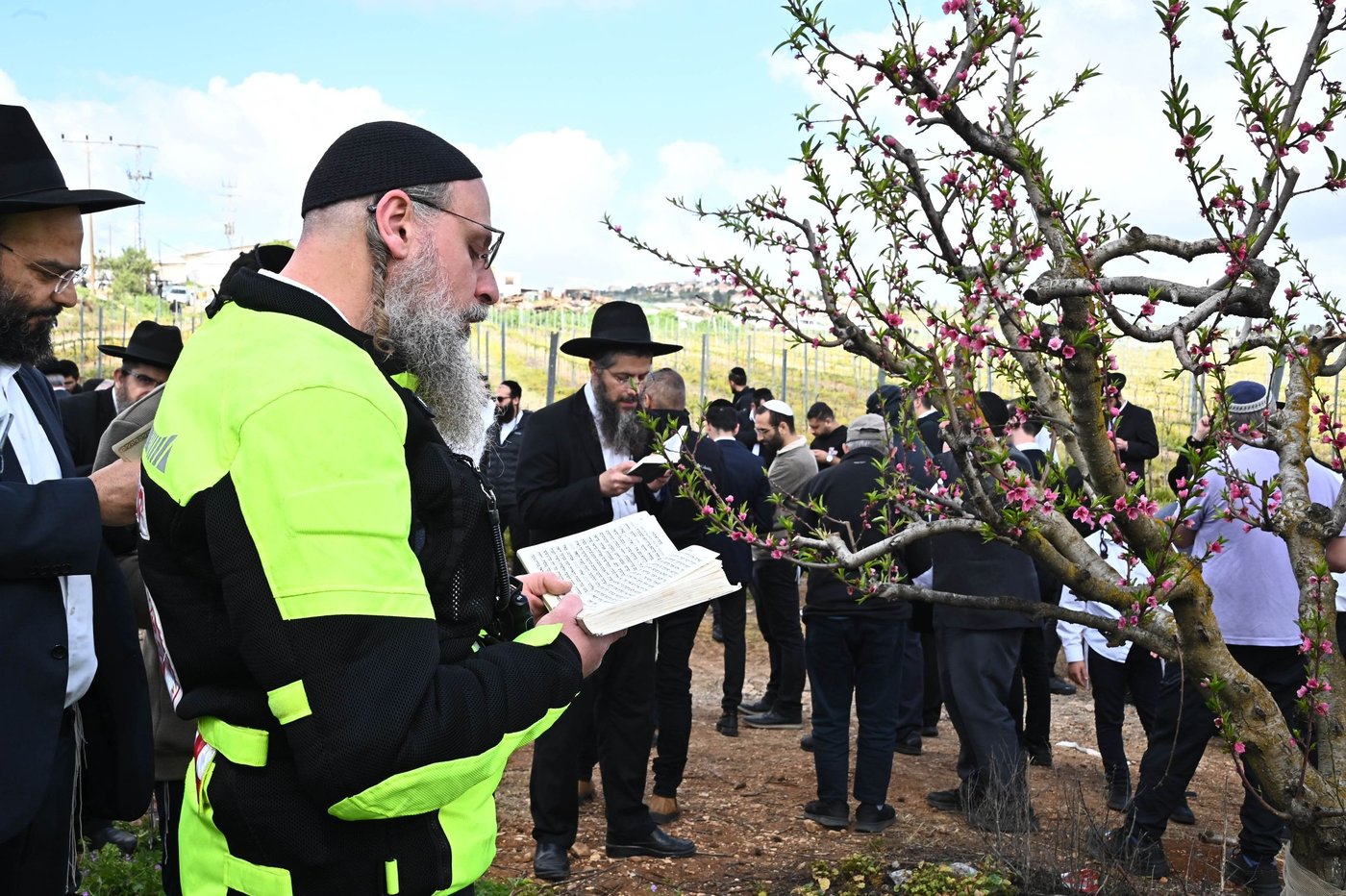 תושבי בני ברק בברכת האילנות