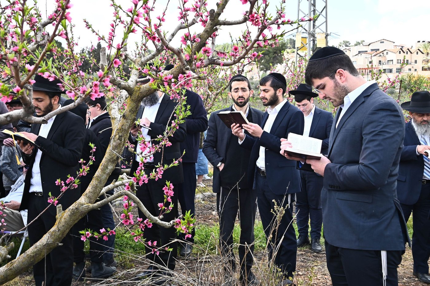 תושבי בני ברק בברכת האילנות