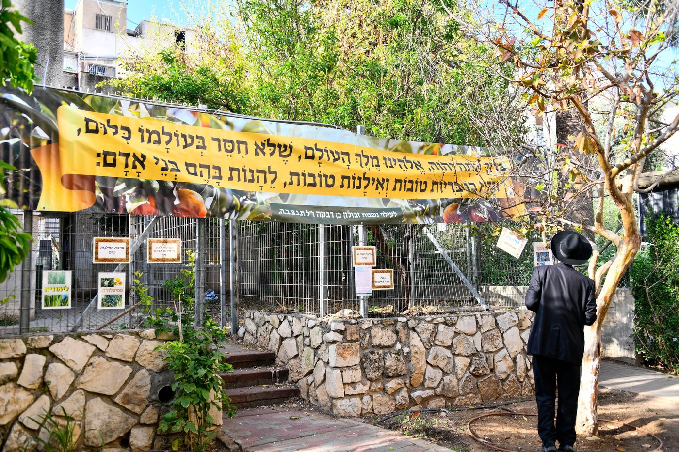תושבי בני ברק בברכת האילנות