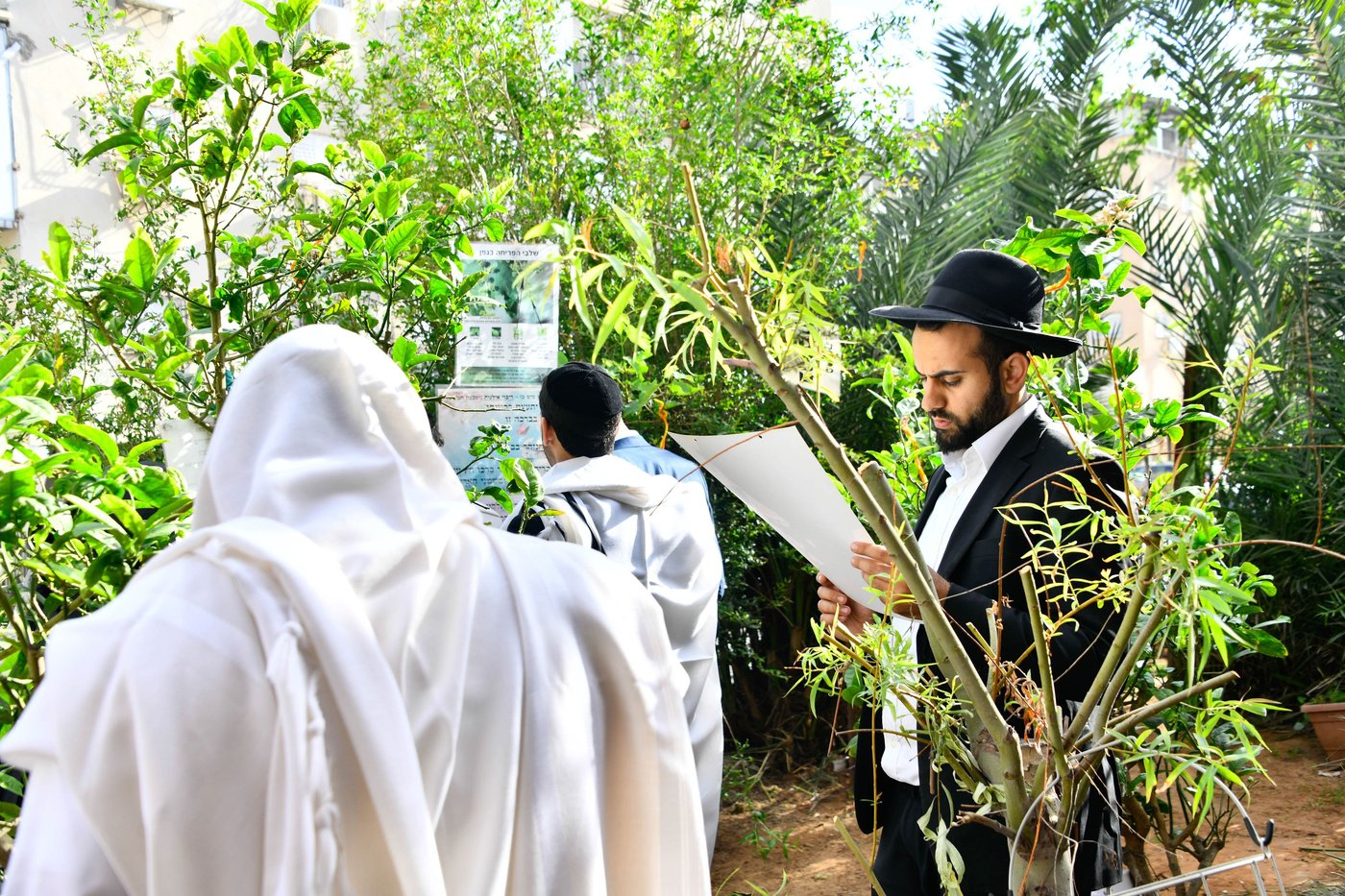 תושבי בני ברק בברכת האילנות