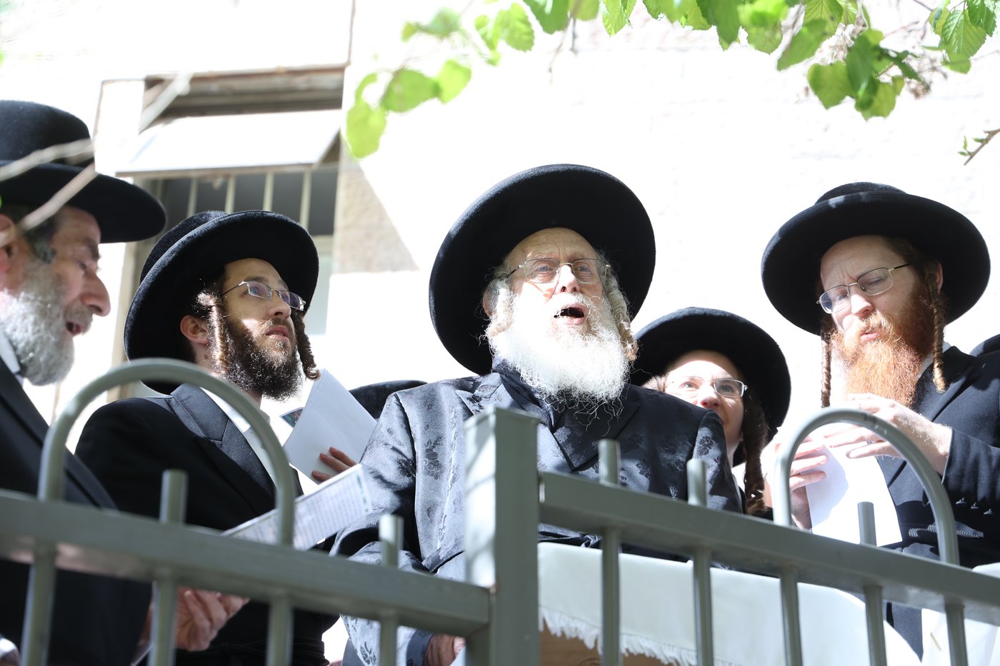 האדמו"ר מקומרנא בברכת האילנות