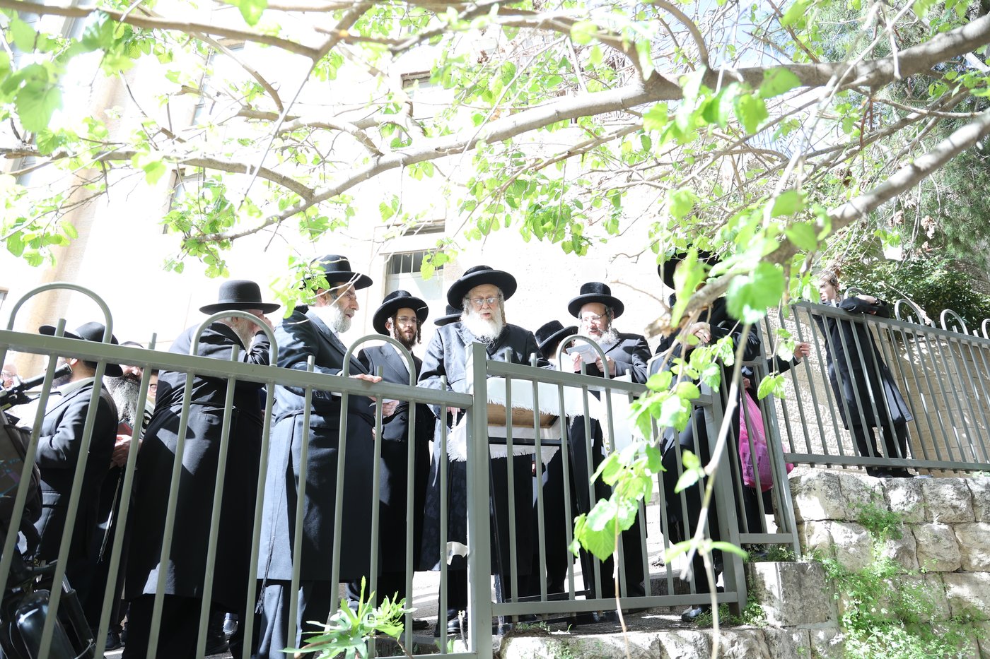 האדמו"ר מקומרנא בברכת האילנות