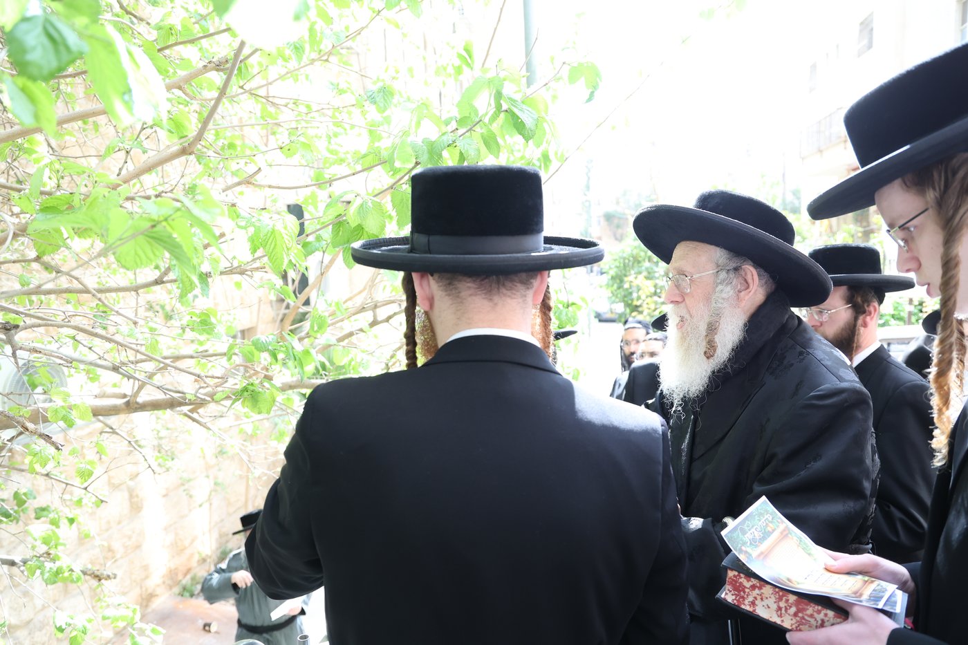 האדמו"ר מקומרנא בברכת האילנות