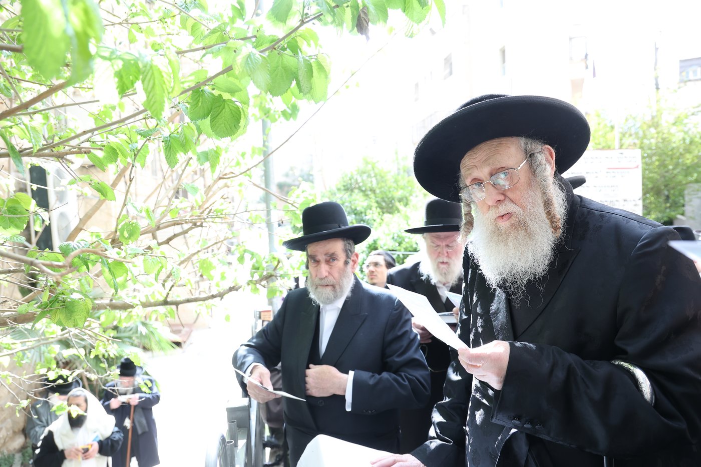האדמו"ר מקומרנא בברכת האילנות