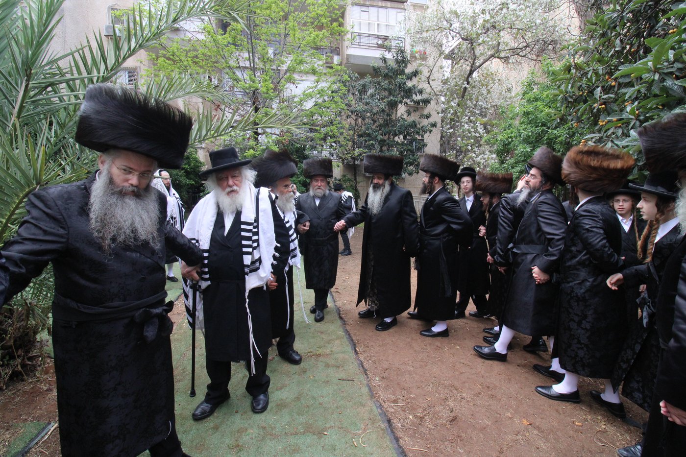 האדמו"ר מזוטשקא בברכת האילנות