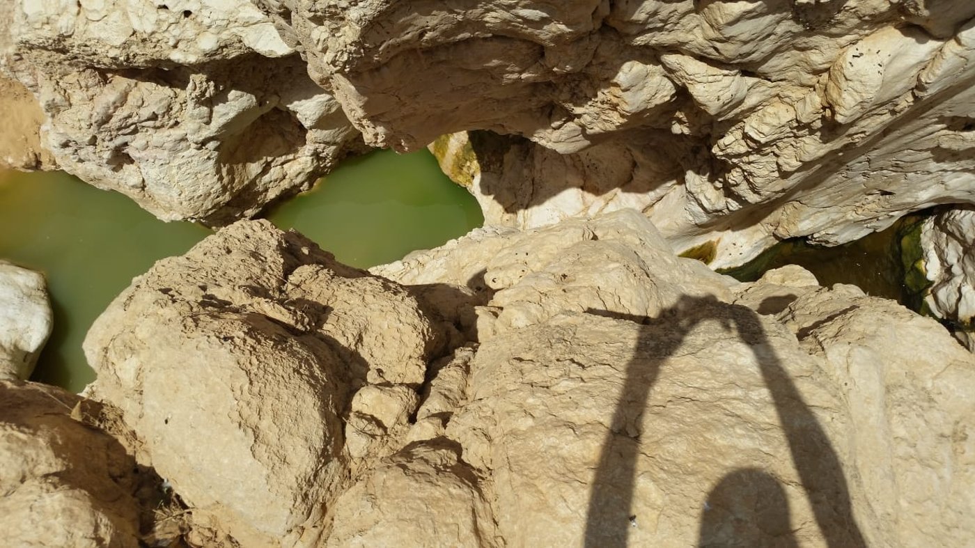 שמורת עין ירקעם