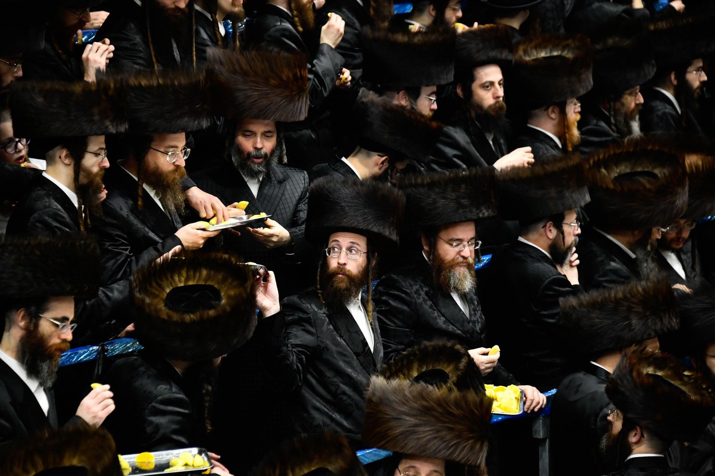 האדמו"ר מדארג באסתר טיש
