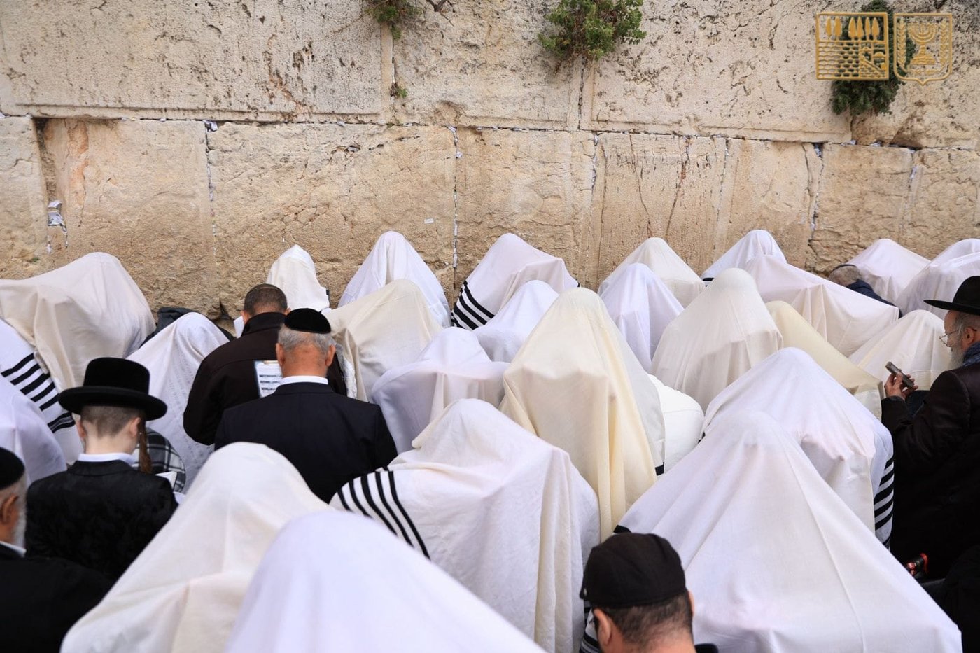 ברכת הכהנים תשפ"ה