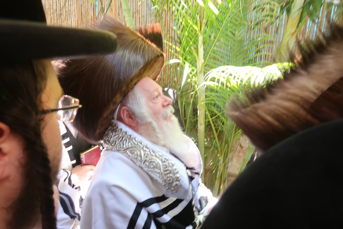 האדמו"ר מפרמישלאן בברכת האילנות