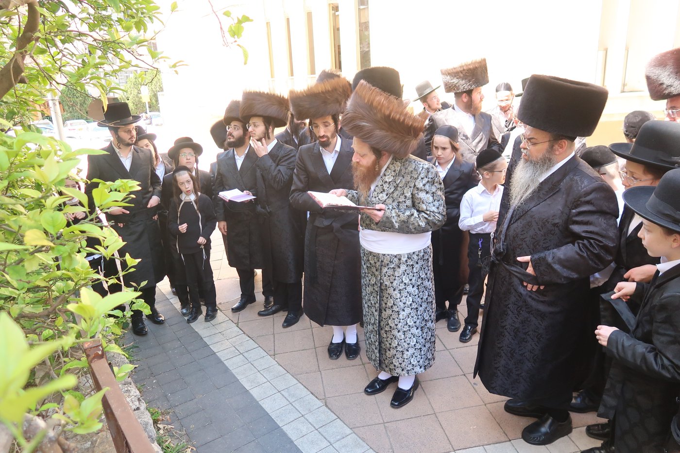 האדמו"ר ממיאלען בברכת האילנות