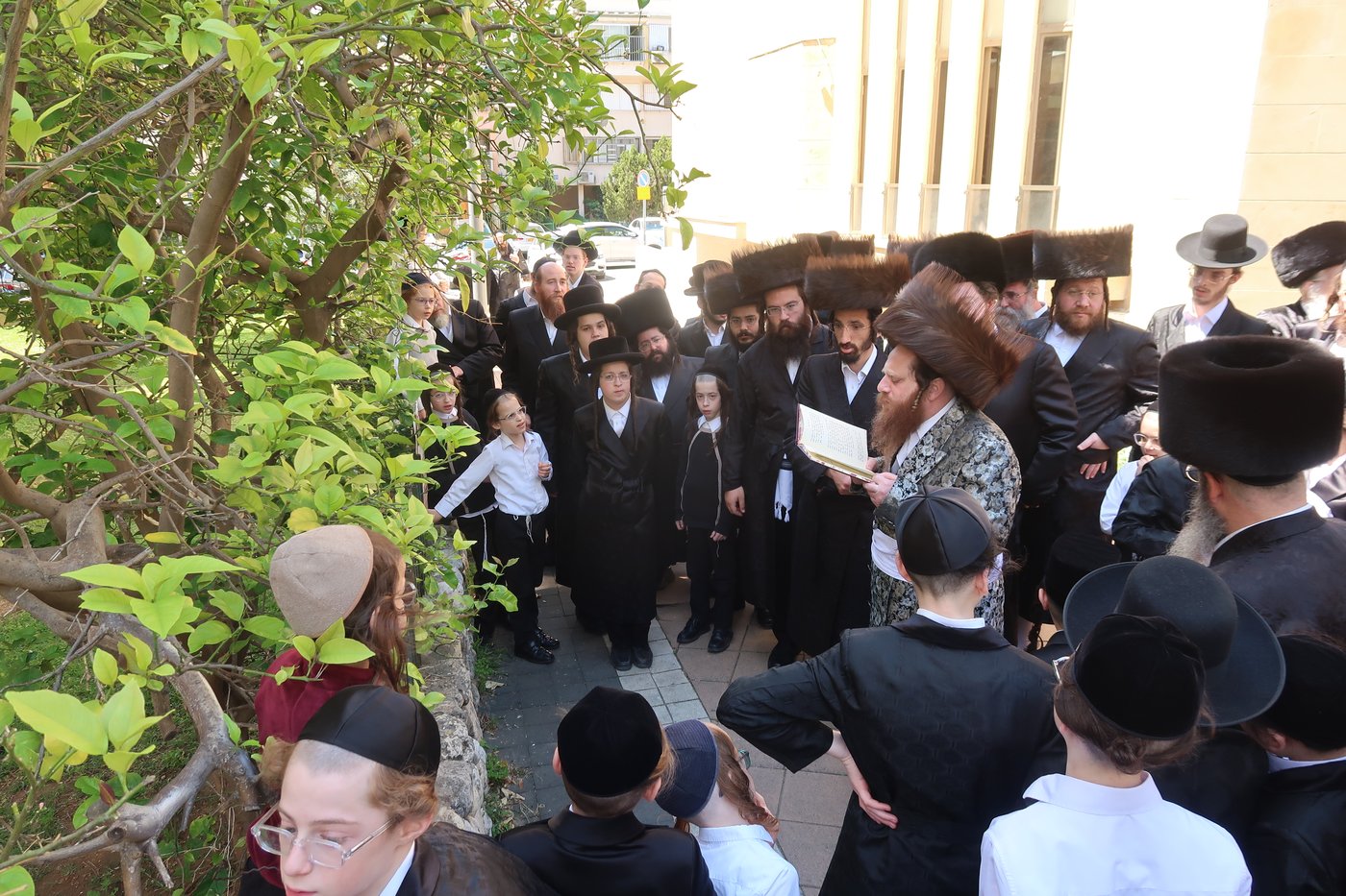 האדמו"ר ממיאלען בברכת האילנות