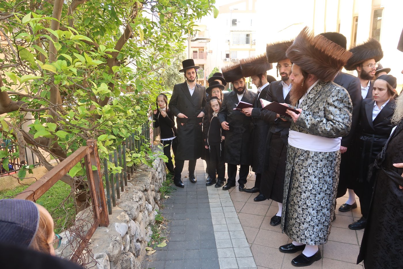 האדמו"ר ממיאלען בברכת האילנות