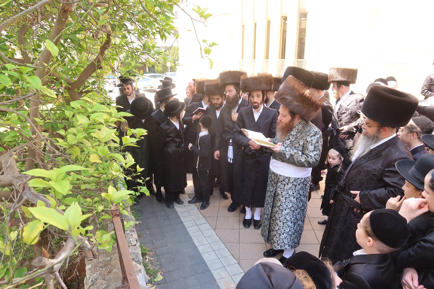 האדמו"ר ממיאלען בברכת האילנות