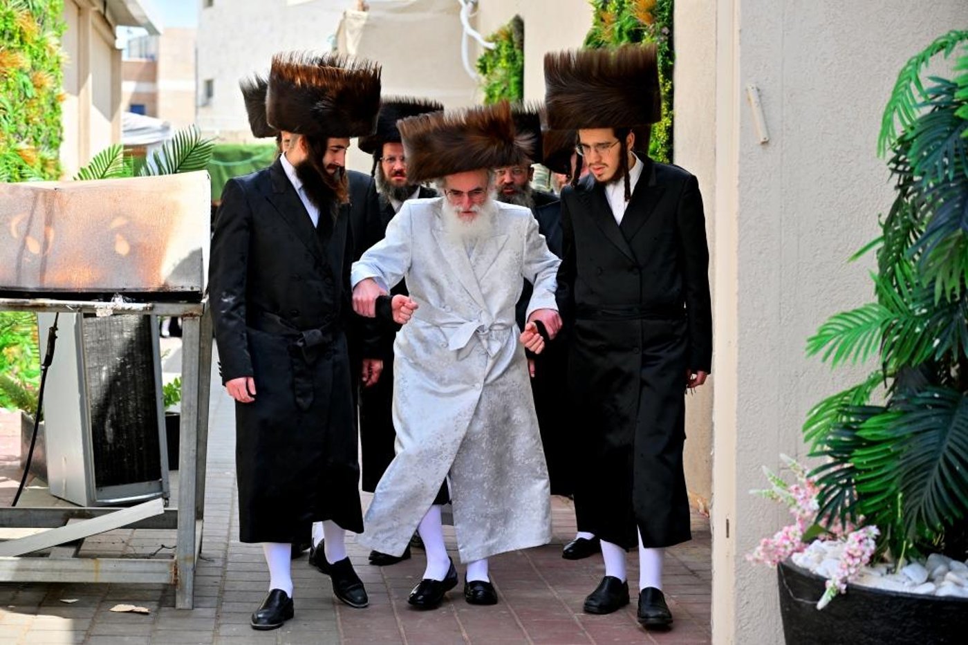 פסח בחצה"ק ויזניץ
