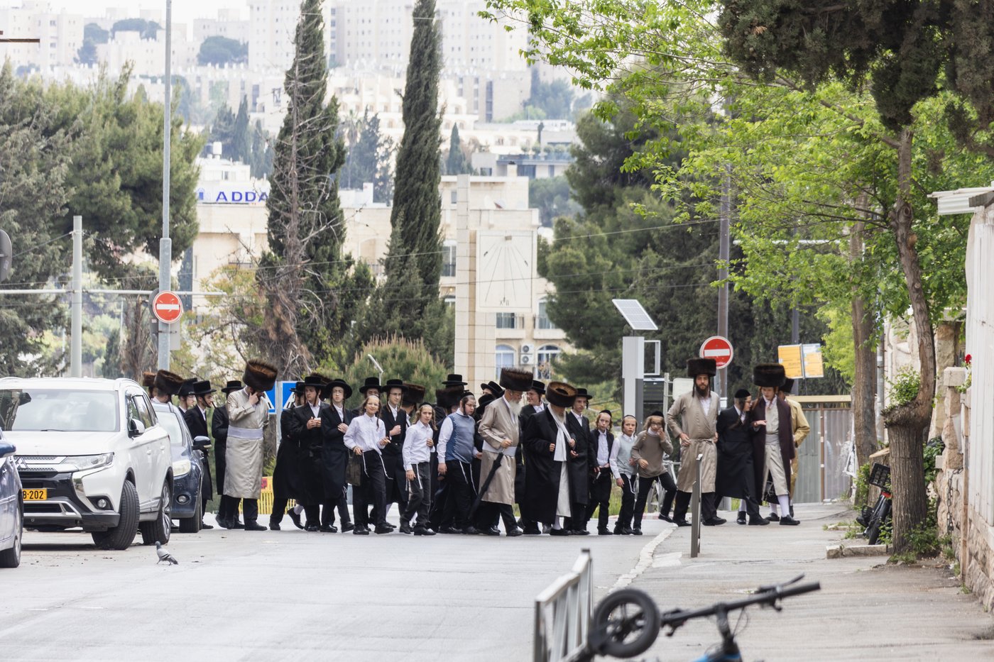 האדמו"ר מפינסק קרלין בברכת האילנות
