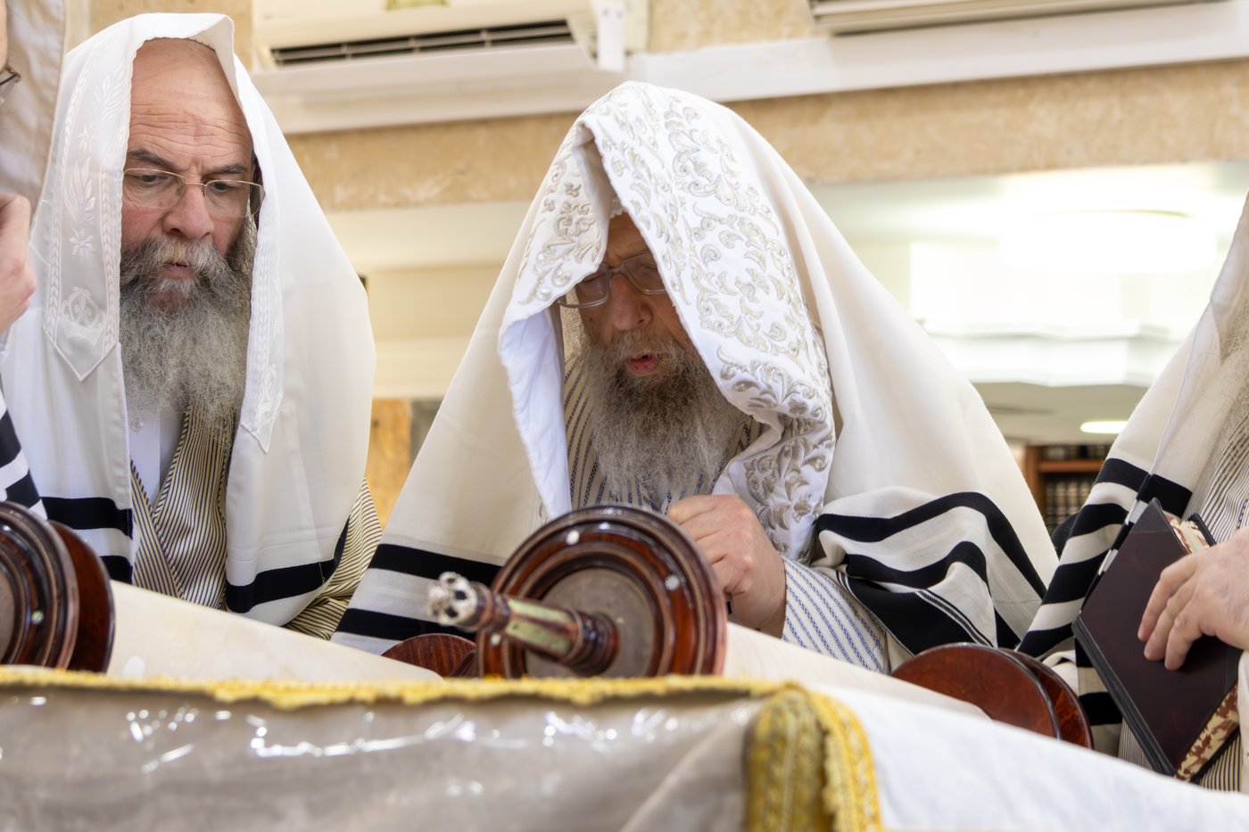 האדמו"ר מפינסק קרלין בתפילת שחרית בחוה"מ