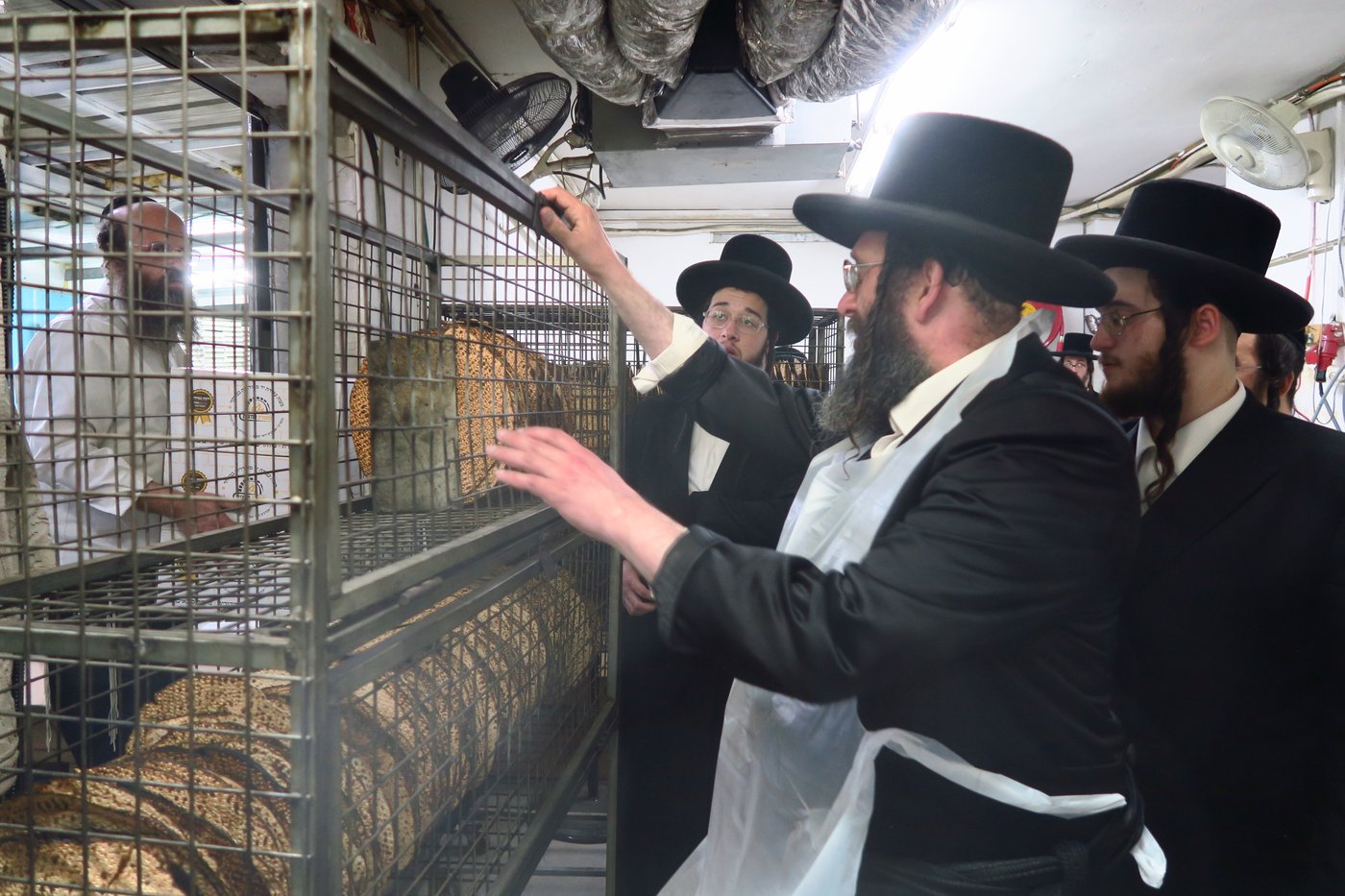 חג הפסח בחצה"ק ספינקא רמת אהרן