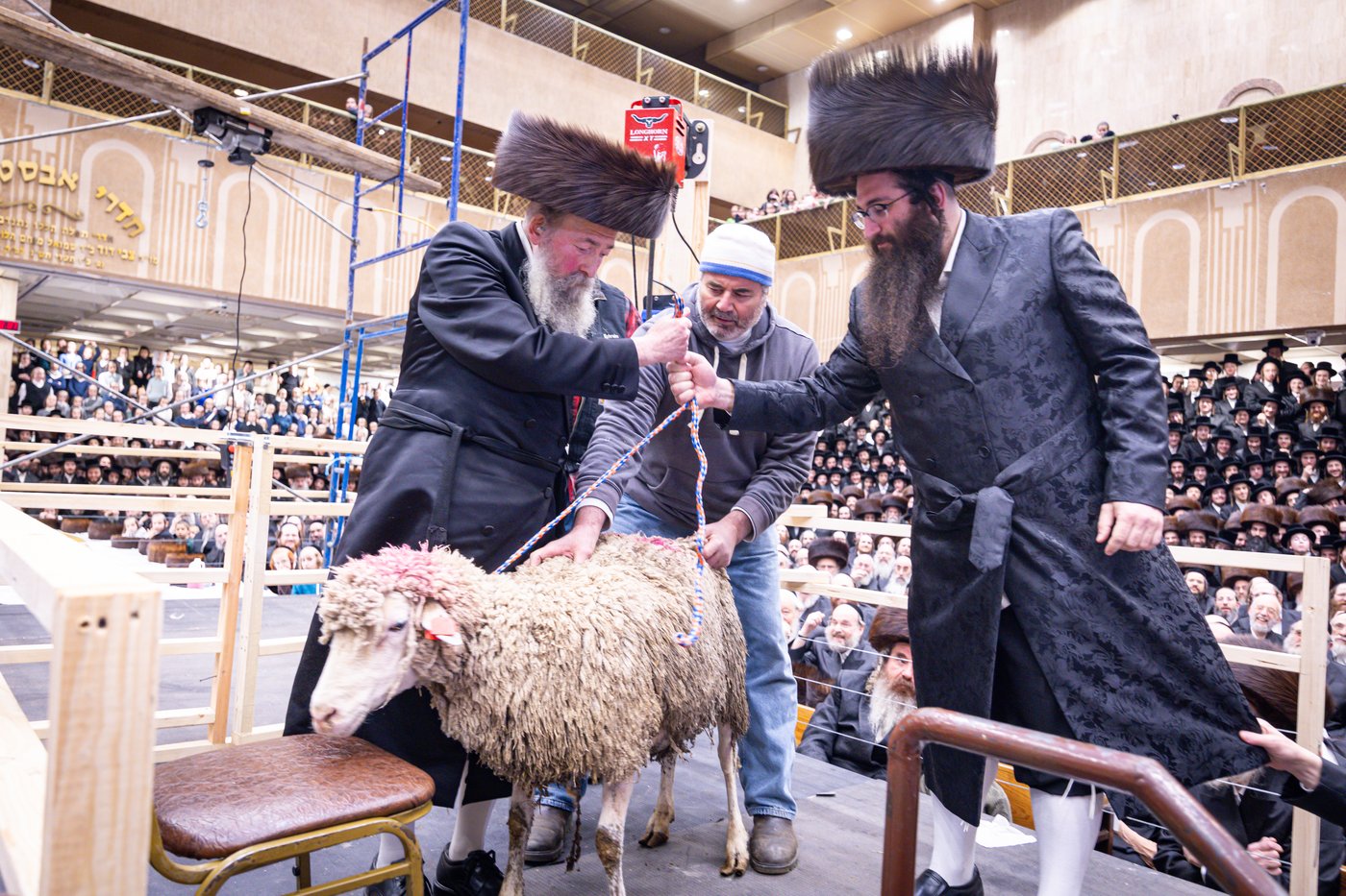 מעמד מתנת כהונה בבאבוב