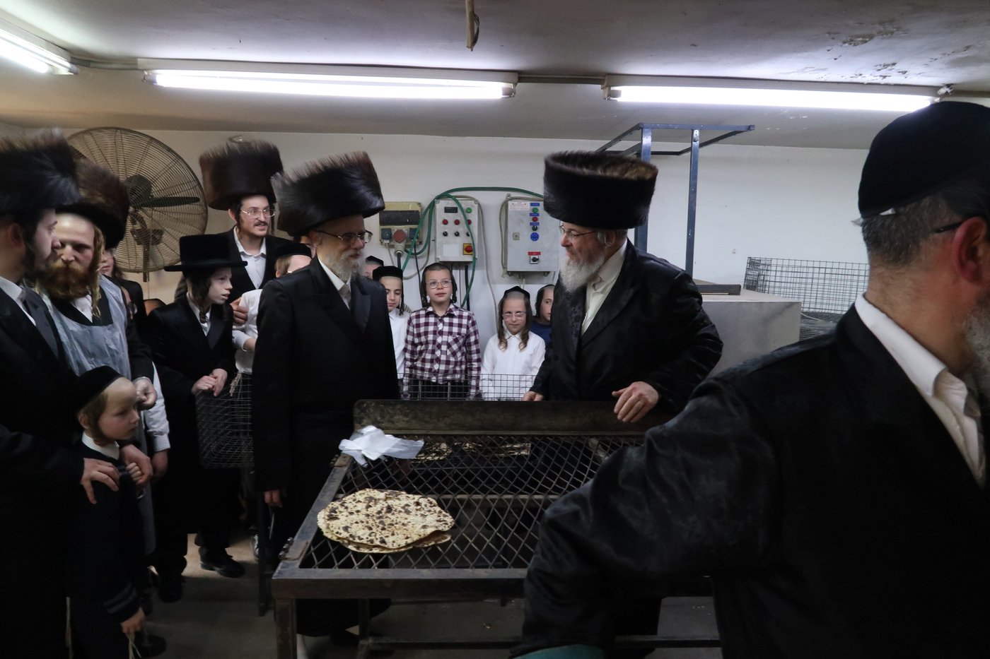 חג הפסח בחצה"ק סערט ויז'ניץ