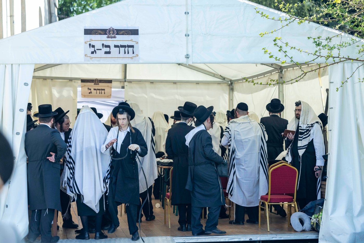 מסע הקודש של האדמו"ר מבאבוב 45 לצאנז - ניסן תשפ"ה