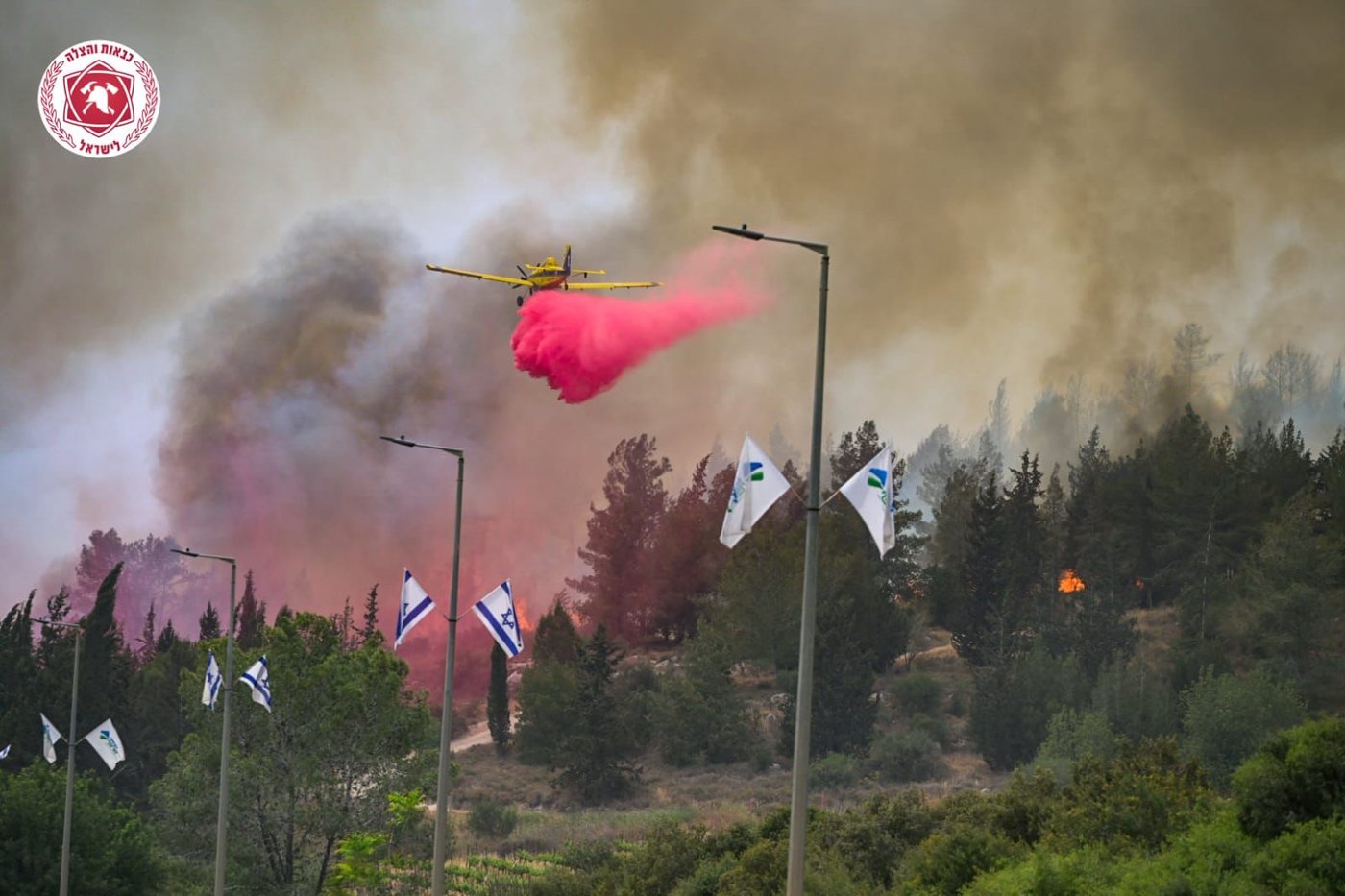 השריפה בהרי ירושלים