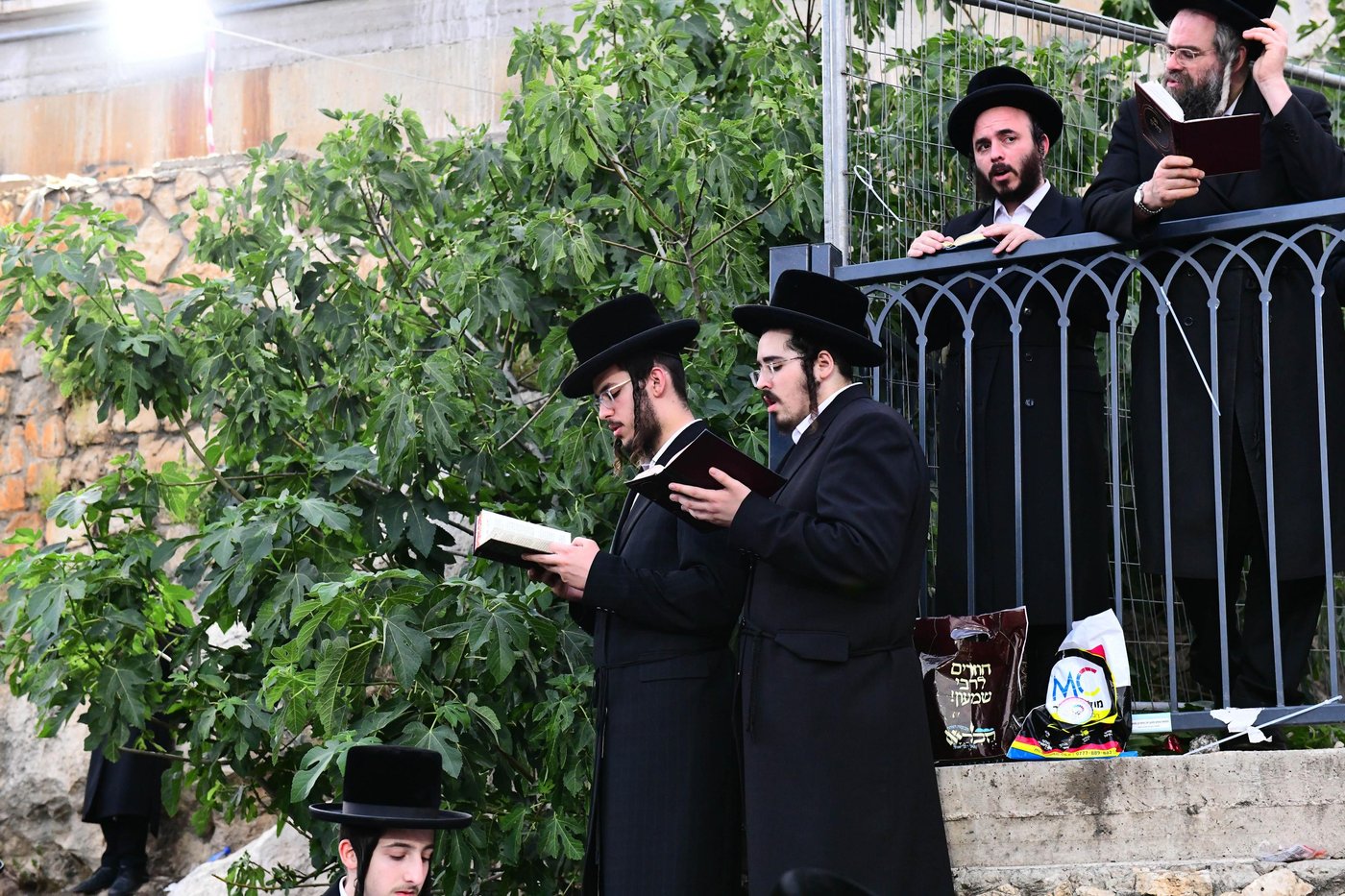 האדמו"ר מסערט ויז'ניץ באתרא קדישא מירון