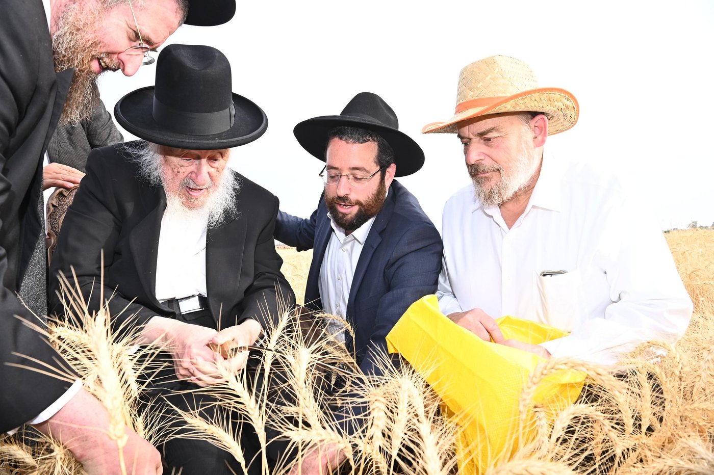 הגרב"ד פוברסקי בקצירת חיטים