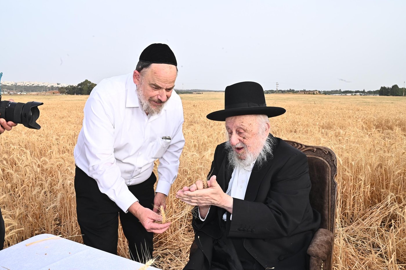 הגרב"ד פוברסקי בקצירת חיטים