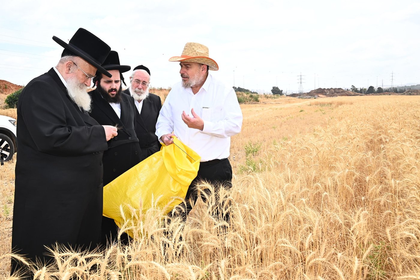 הגרש"א שטרן בקצירת חיטים