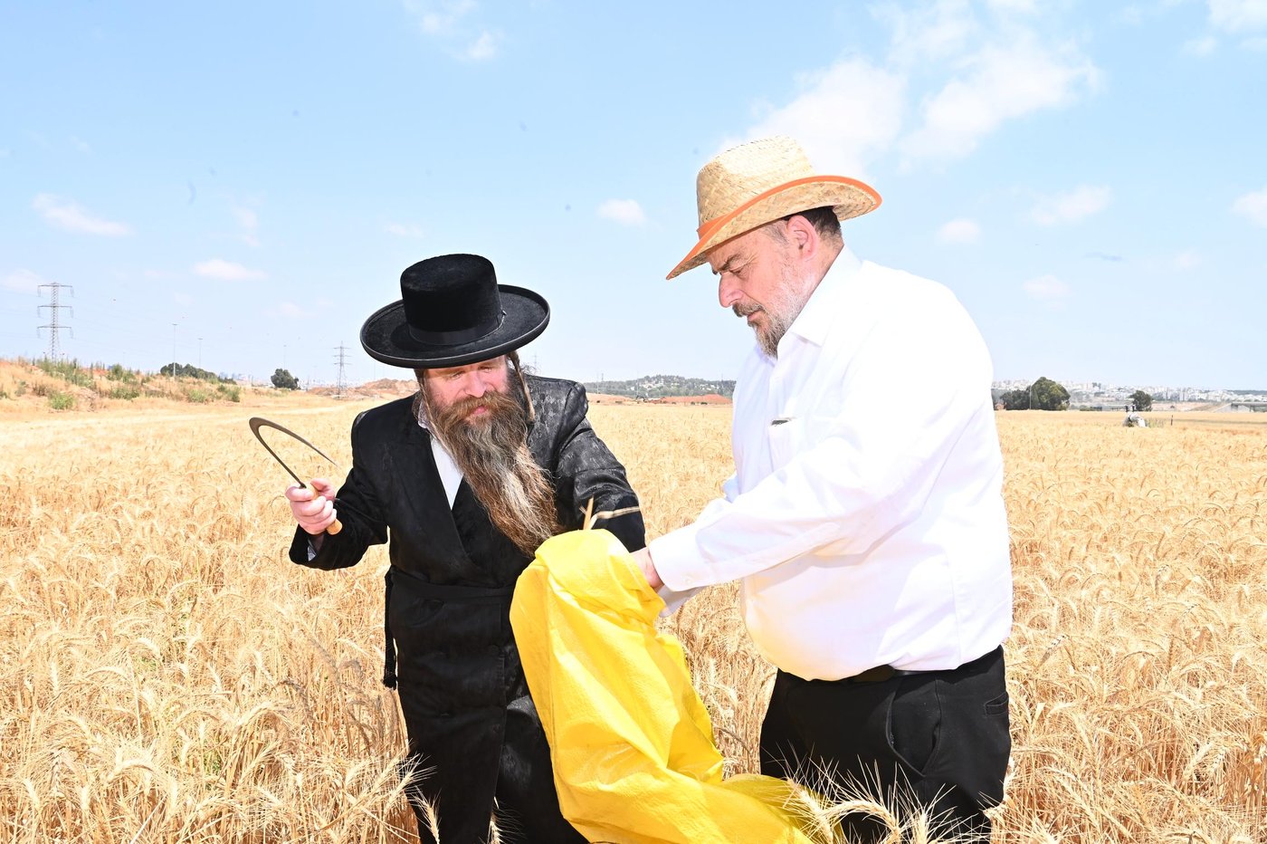 הגה"צ רבי דוד משה רוזנבוים אב"ד קרעטשניף בקצירת חיטים
