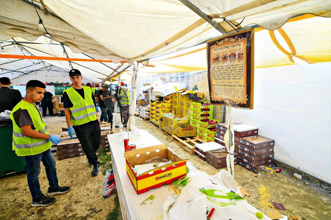 מראות ההילולא בקבר שמואל הנביא