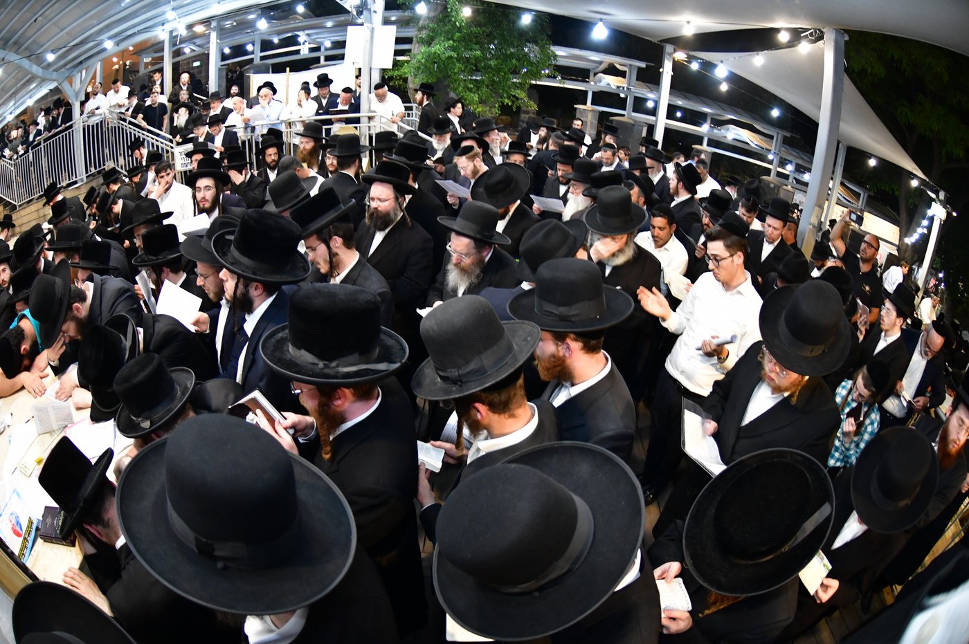 הילולת השל"ה הקדוש