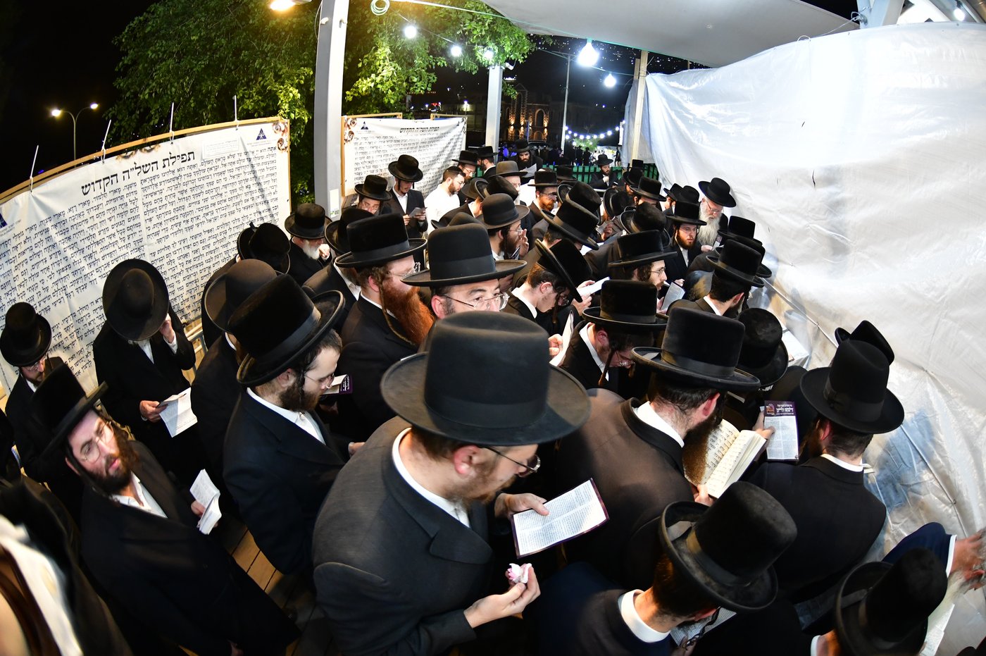 הילולת השל"ה הקדוש