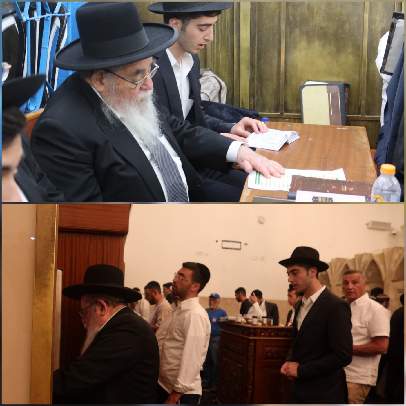 זופניק בכיכר | כל התמונות, הנייעס והחשיפות של השבוע