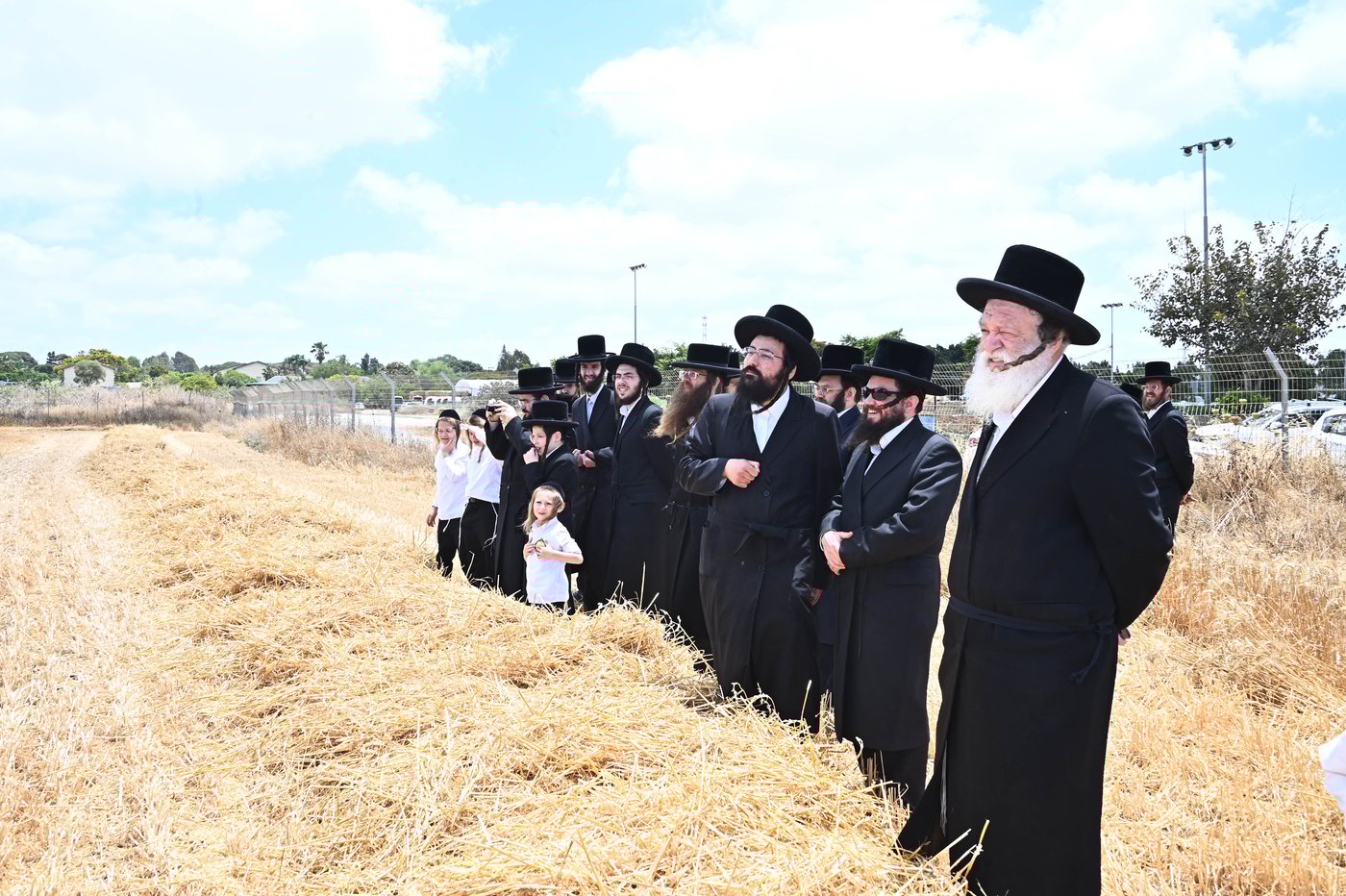 האדמו"ר מלעלוב בקצירת חיטים