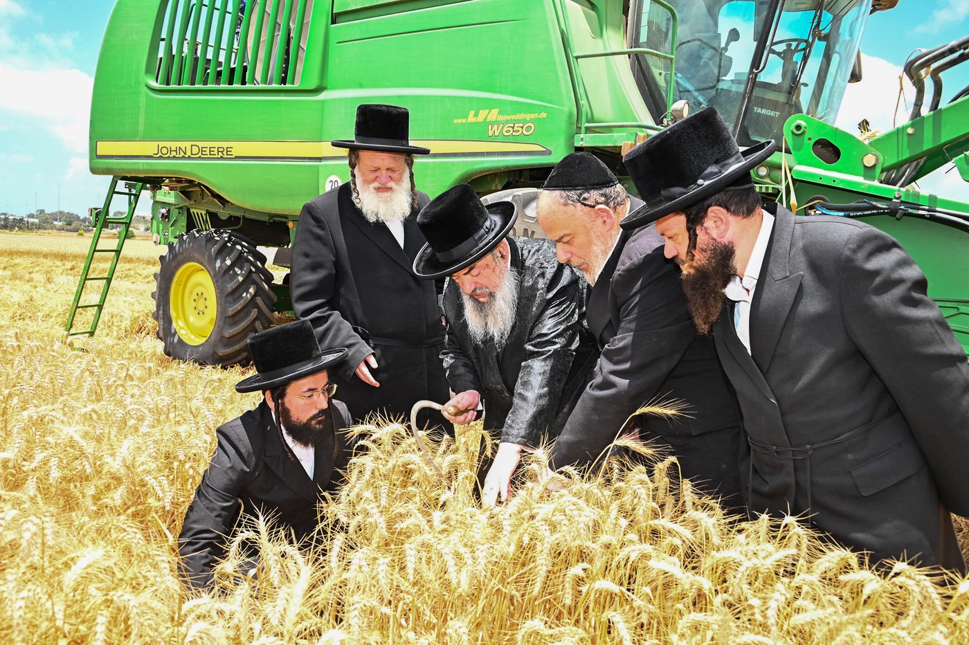 האדמו"ר מלעלוב בקצירת חיטים