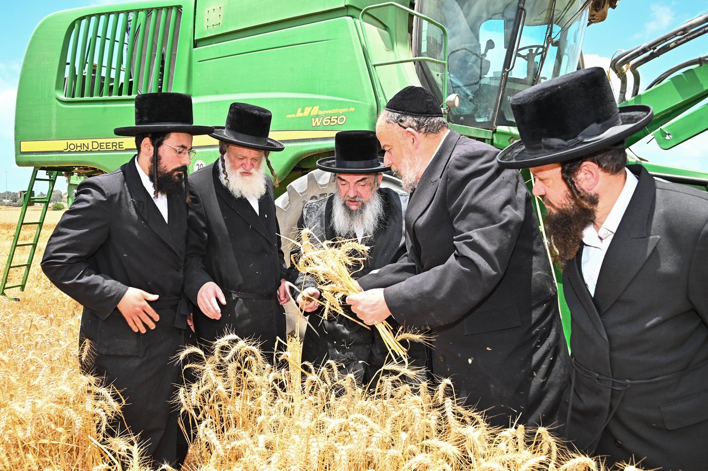 האדמו"ר מלעלוב בקצירת חיטים