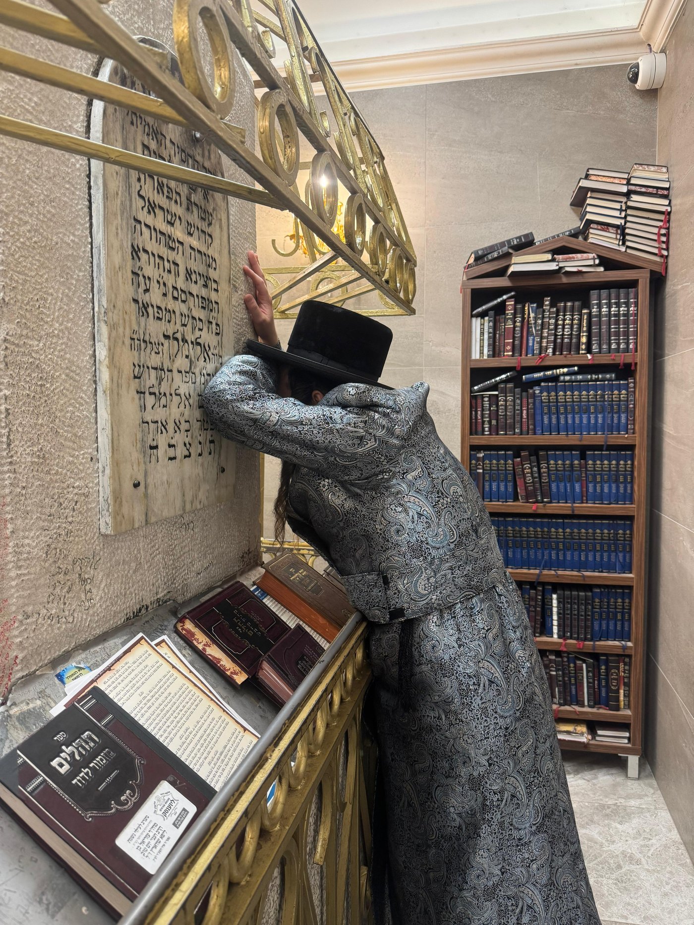 זופניק בכיכר | כל התמונות, הנייעס והחשיפות של השבוע