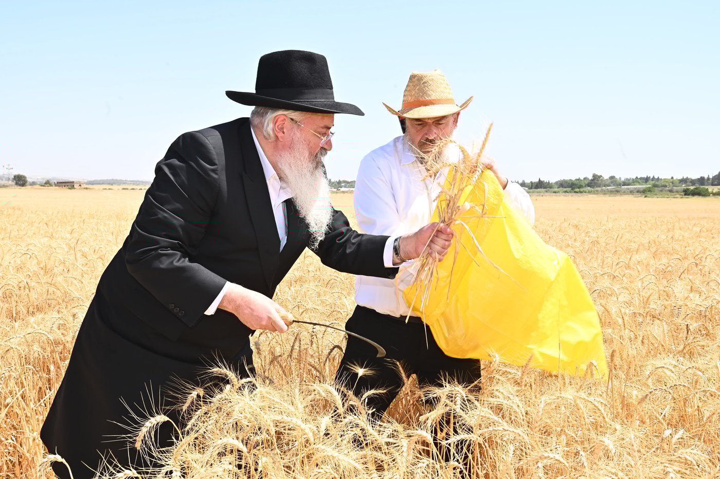 זופניק בכיכר | כל התמונות, הנייעס והחשיפות של השבוע