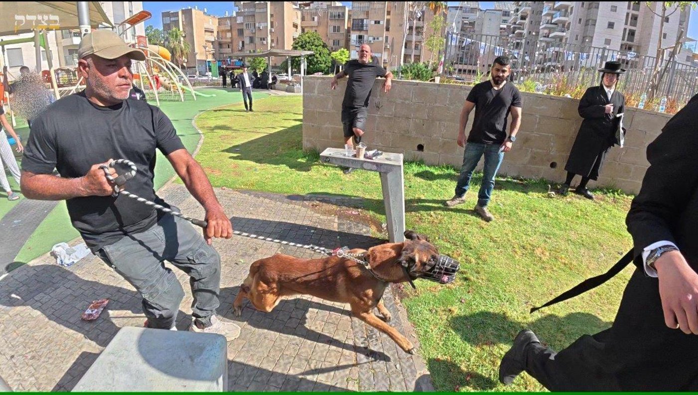 ההפגנות הסוערות ביהוד
